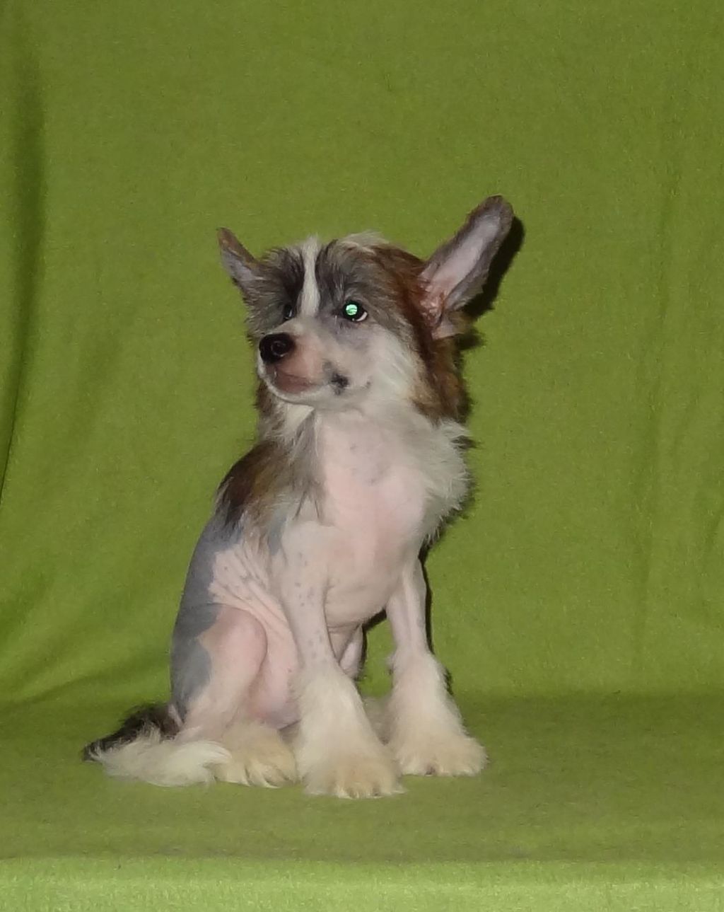 Naimuluna Line Michael Fred Phelps