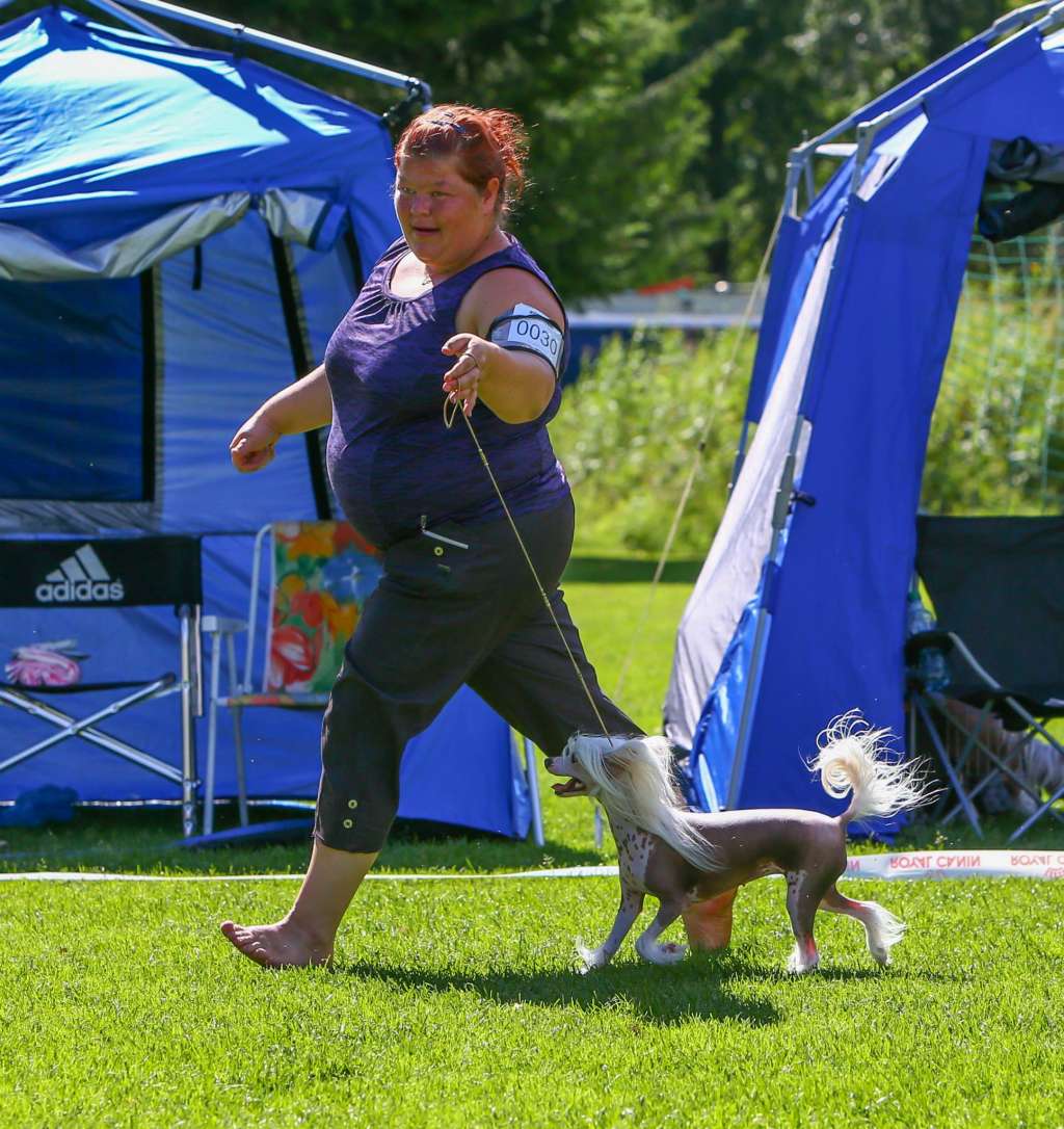 Casa Del Caboom's Evrybodys Darling