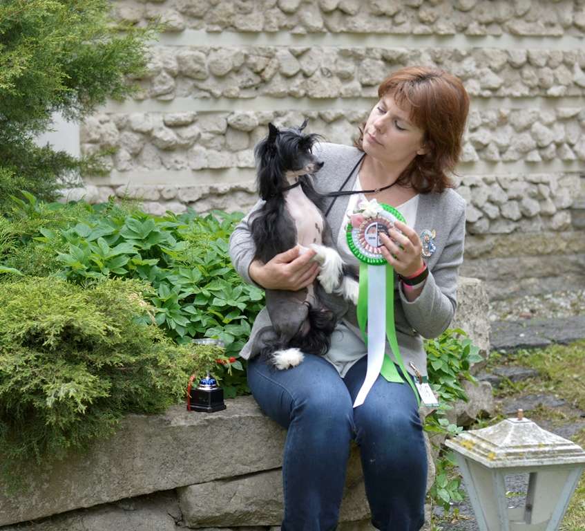 Dakota Rose A Dream Come True For Hitline Ltd