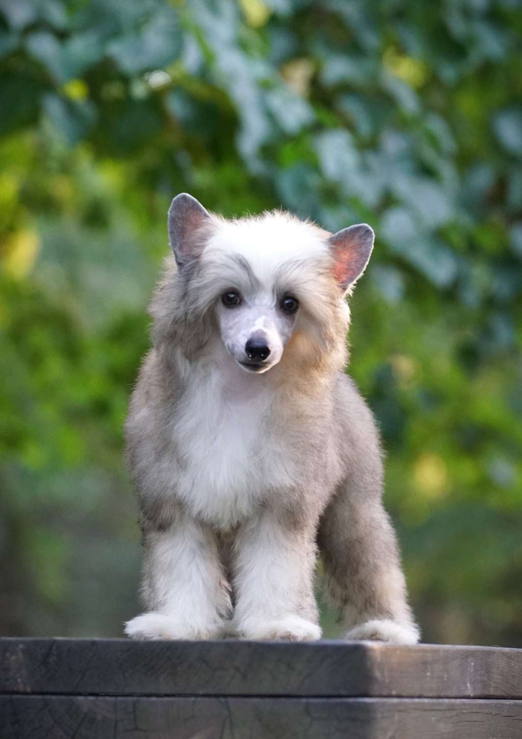 You Wear it Well Heybett