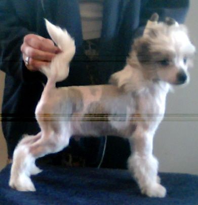 Kalan Keepin Up Appearances