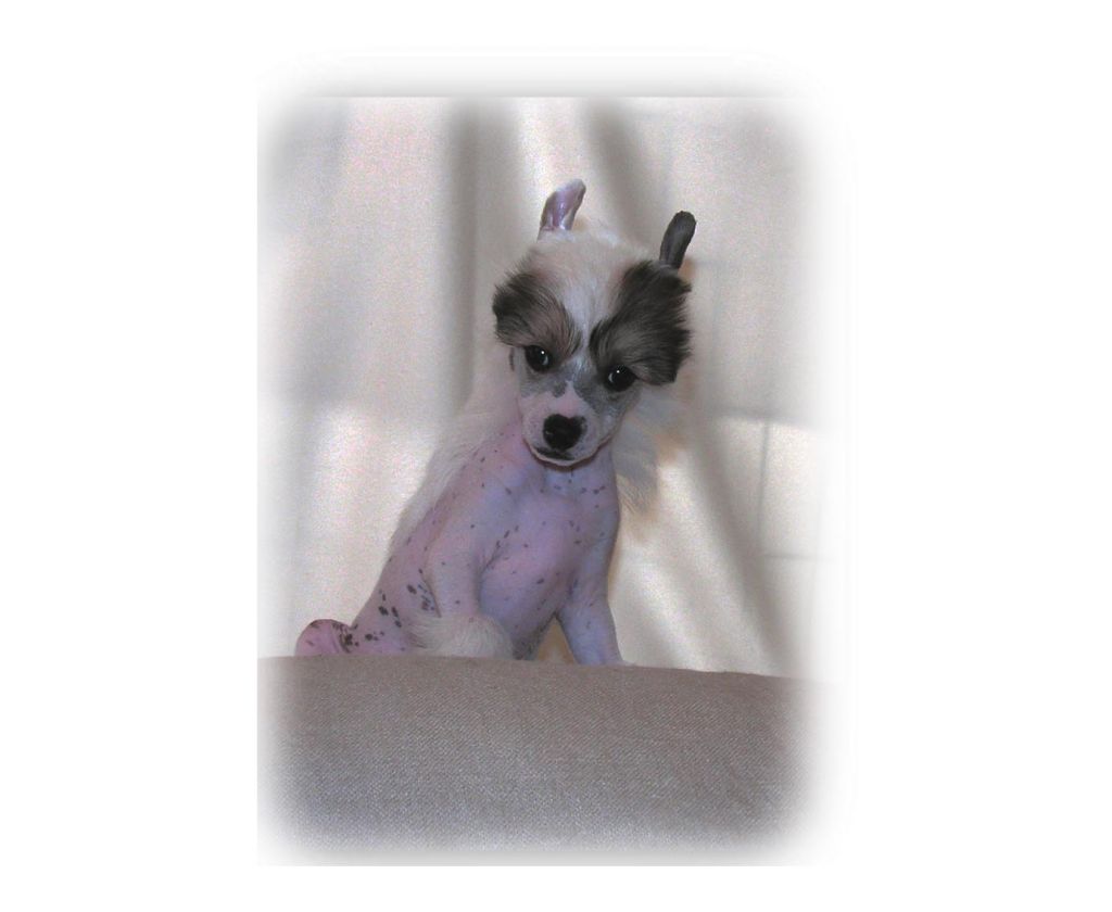 Rimabra's Plenty Of It