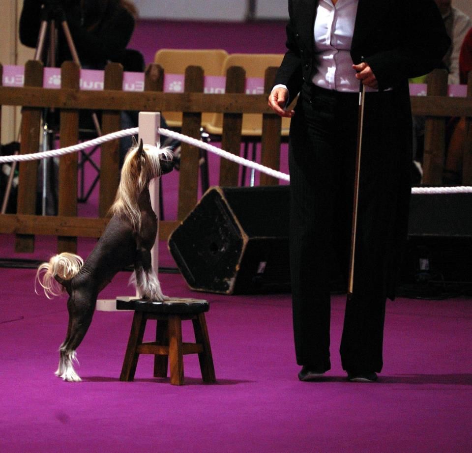 Huna Bomba Top Model De Rama