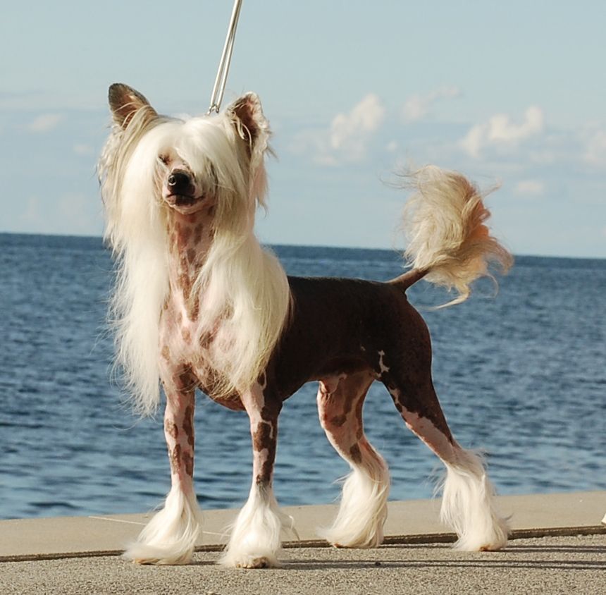 Sun-Hee's Dressed For Success