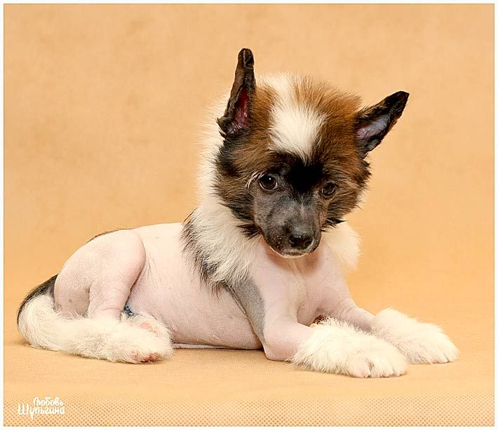 LoveMagic Creative Style