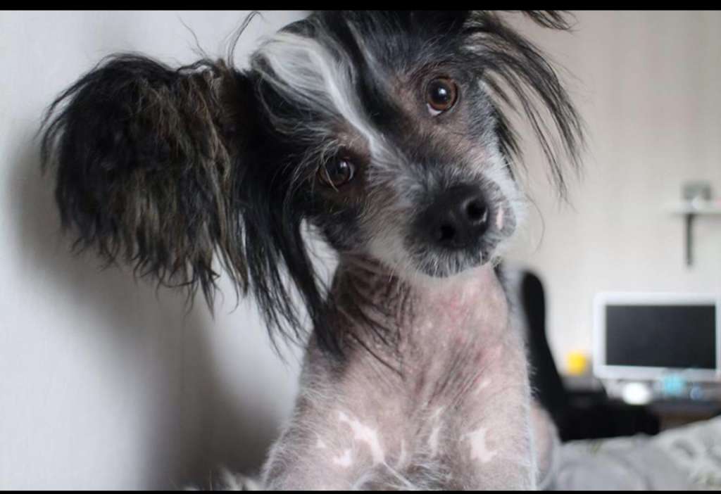 Shi Huangdis Edward Cullen