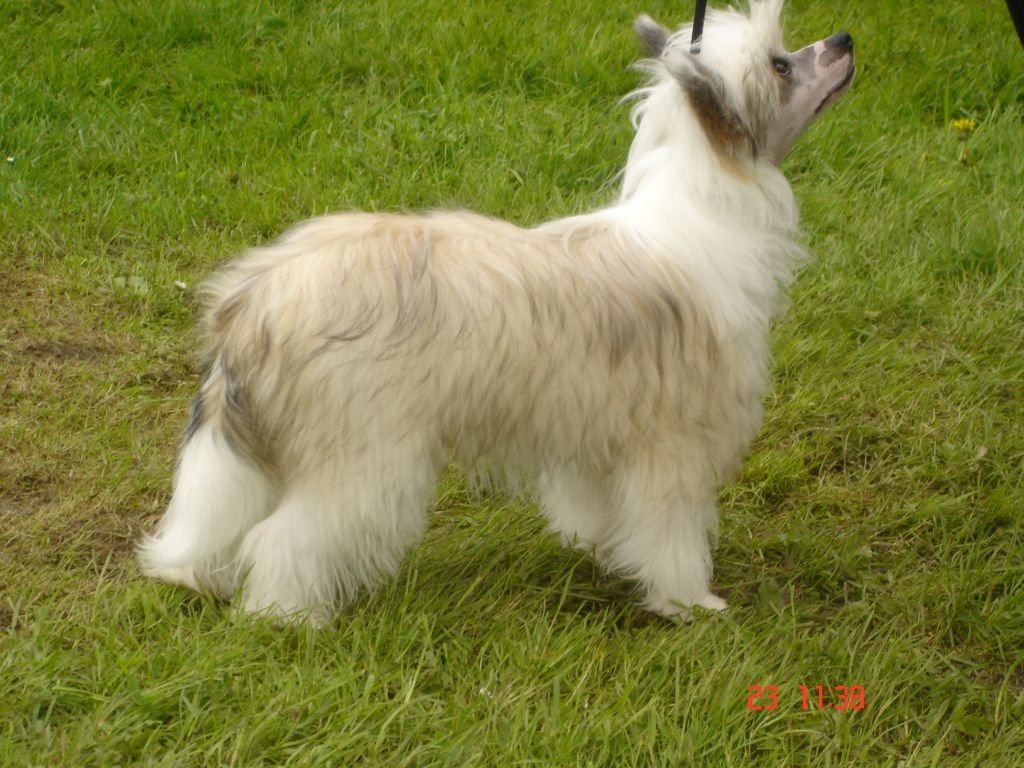 Nomilas Kiss The Lady