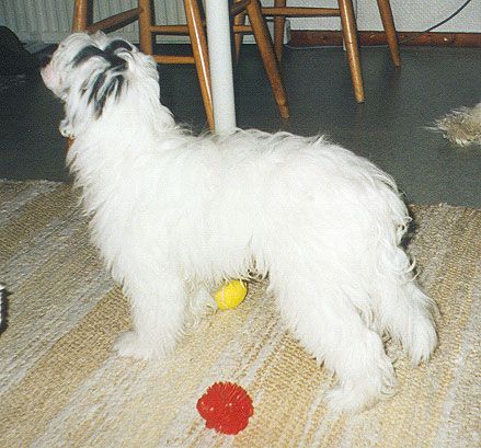 Old Chum's For Future