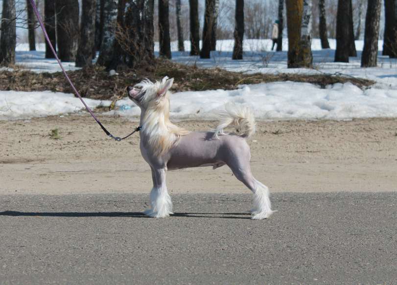 Sol'tanto Just Love You