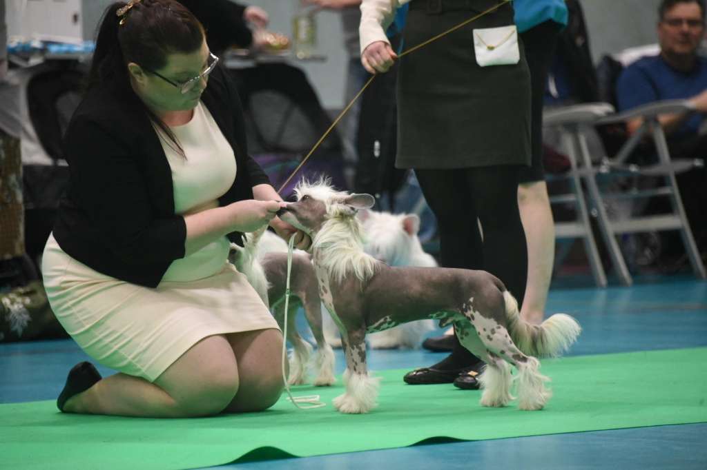 Jean Dark Return To Sender