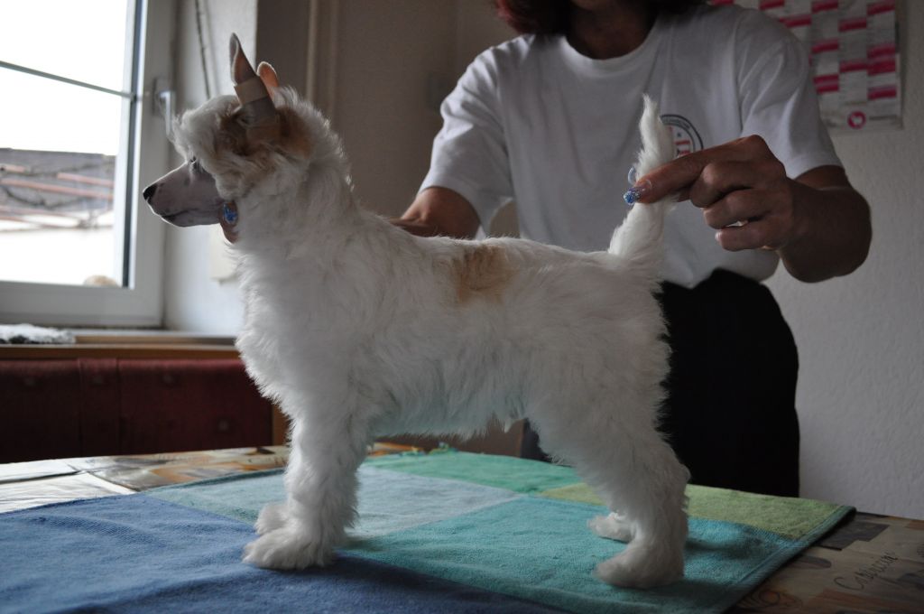 Bubbling Spirit Bourbon