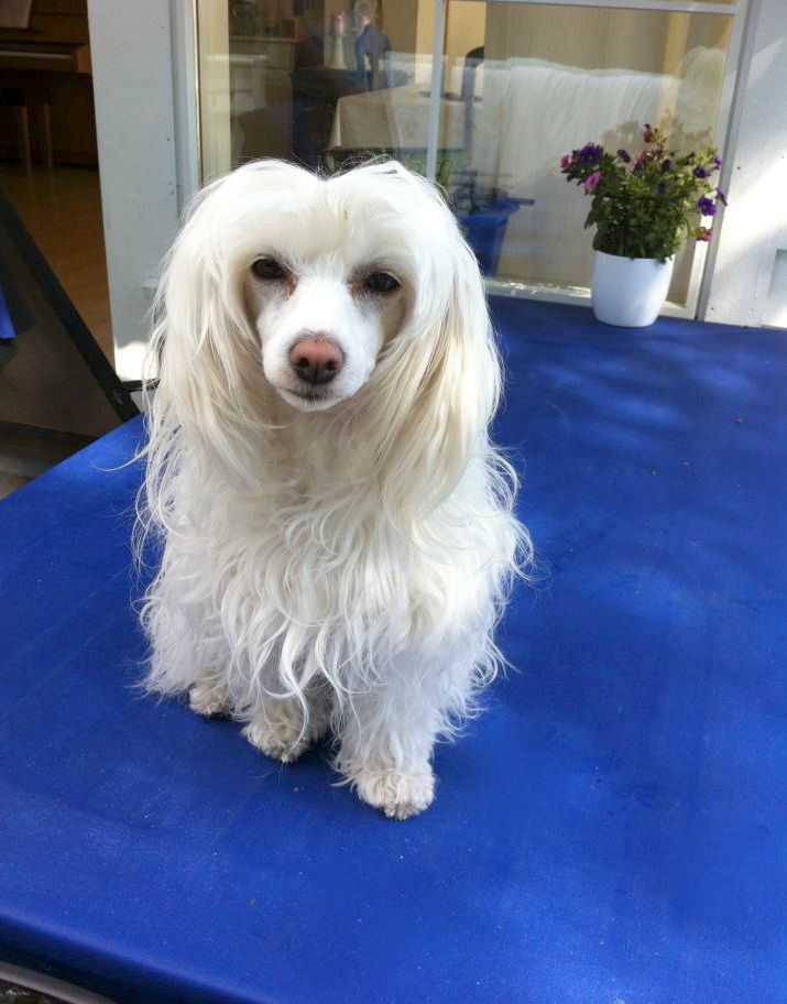 Winnie Warada Avrina