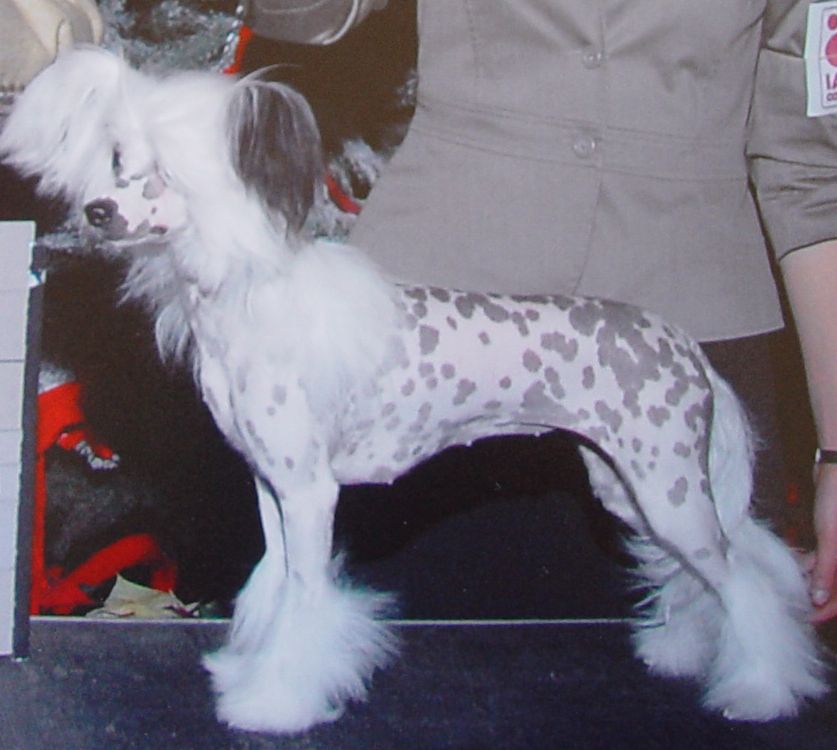 Dripping in Diamonds at N'CO