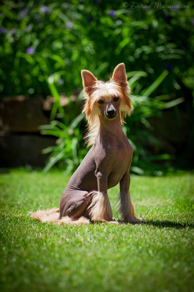 Ksolo Club Ay Ambarussa