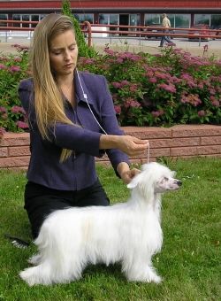 Sun Dan Viva Finlandia