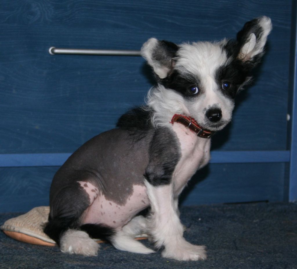 Rus Foreva  Pater Pride