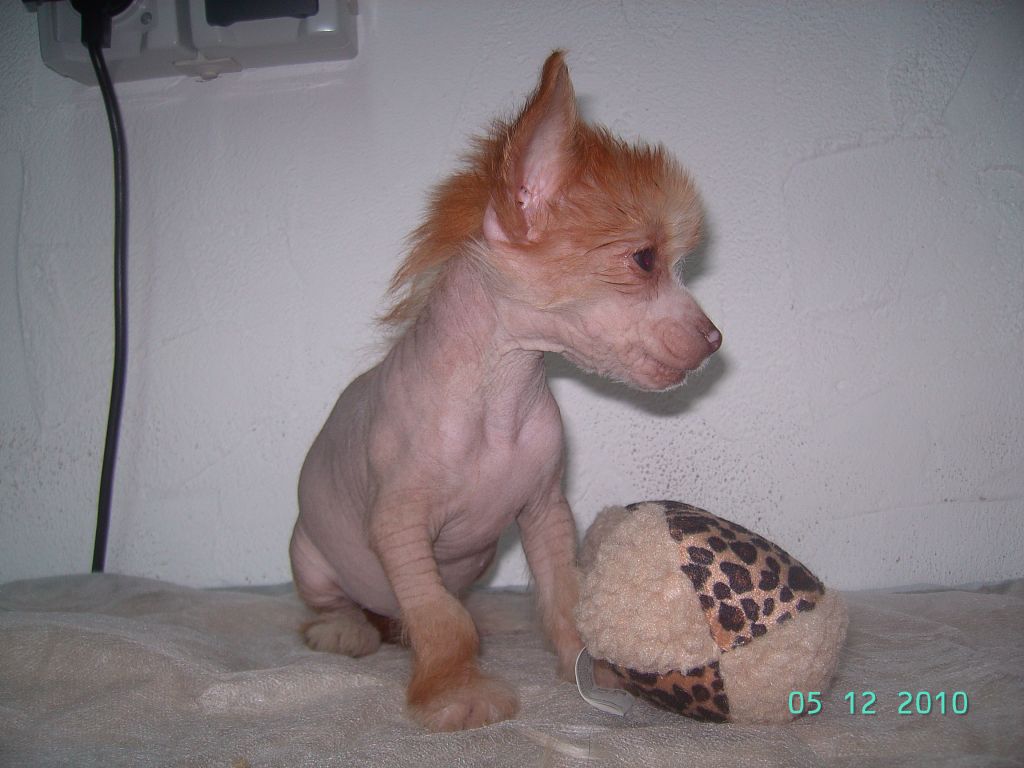 Frendor's X-girlfriend