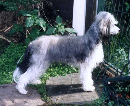 Noga From House Off Angie