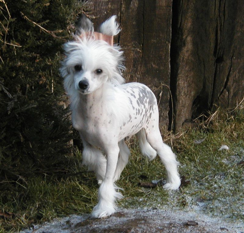 Gift For you little Champs