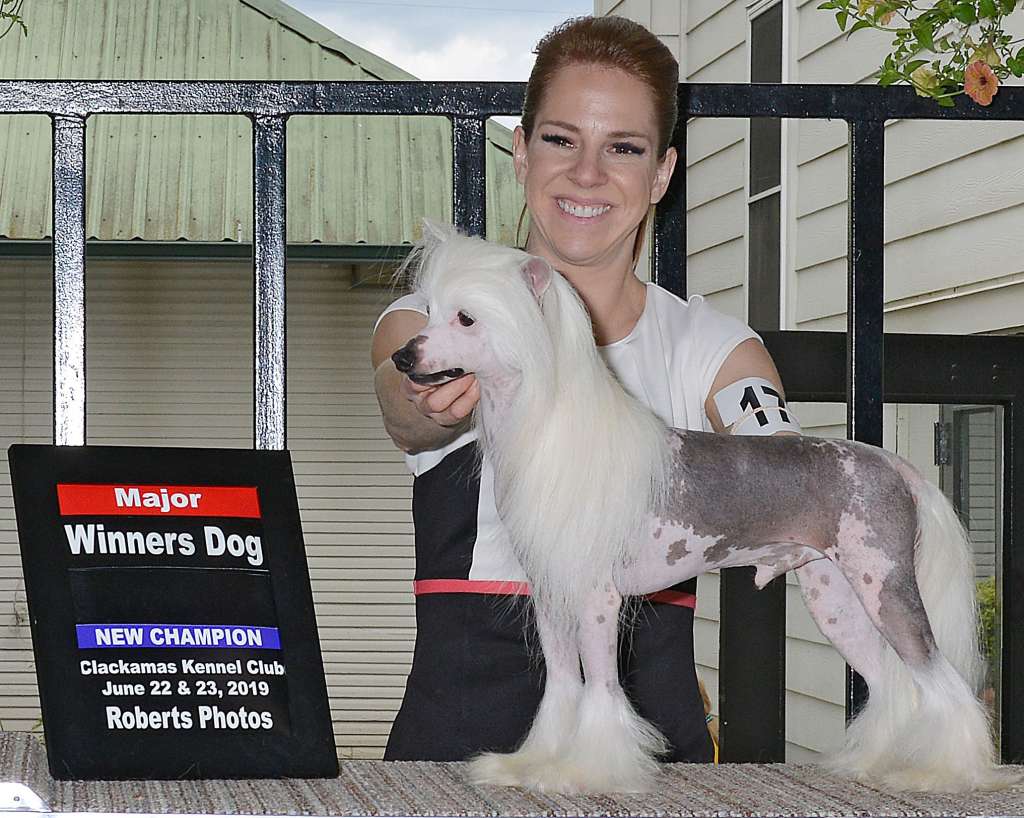 CH Whispering Lane Cinderella Man