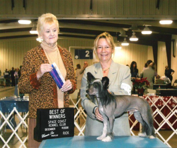 The Obvious Conclusion at N'Co