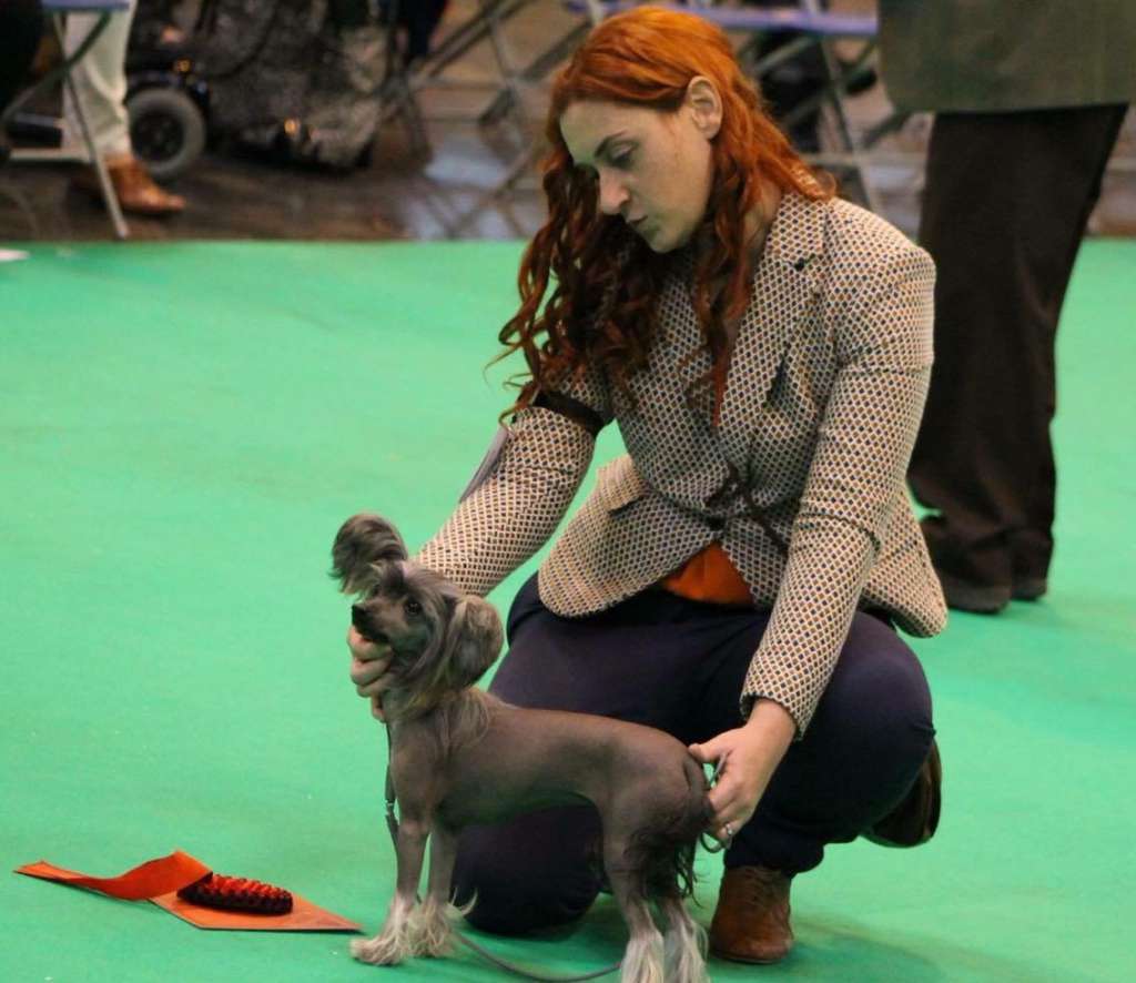 Twice as Nice Sunshine in my Soul for Myglee