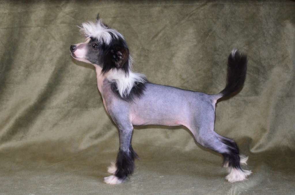 Magic of Success Inner Space