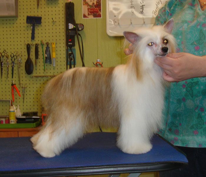 Mei San Improv M!ssundazstood