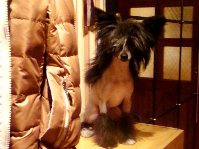 Dominica Lilly z Andelovy dlane