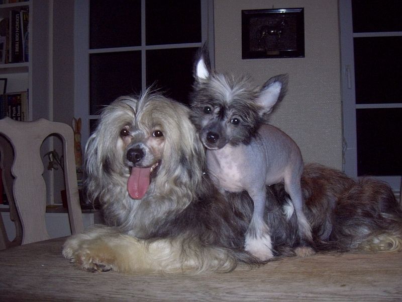 Bakarat z Lubuskiej Wsi