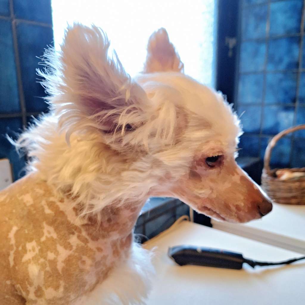 Practical Hero Whiteout Alert