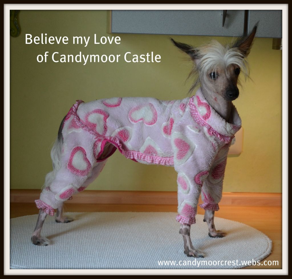 Believe my Love of Candymoor Castle