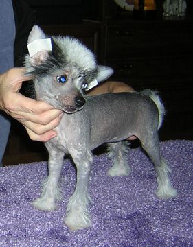 Rompford Let Me At U 2