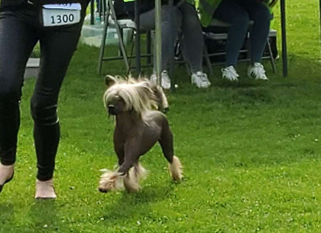 Poker Grzywkomania Hunterqueen