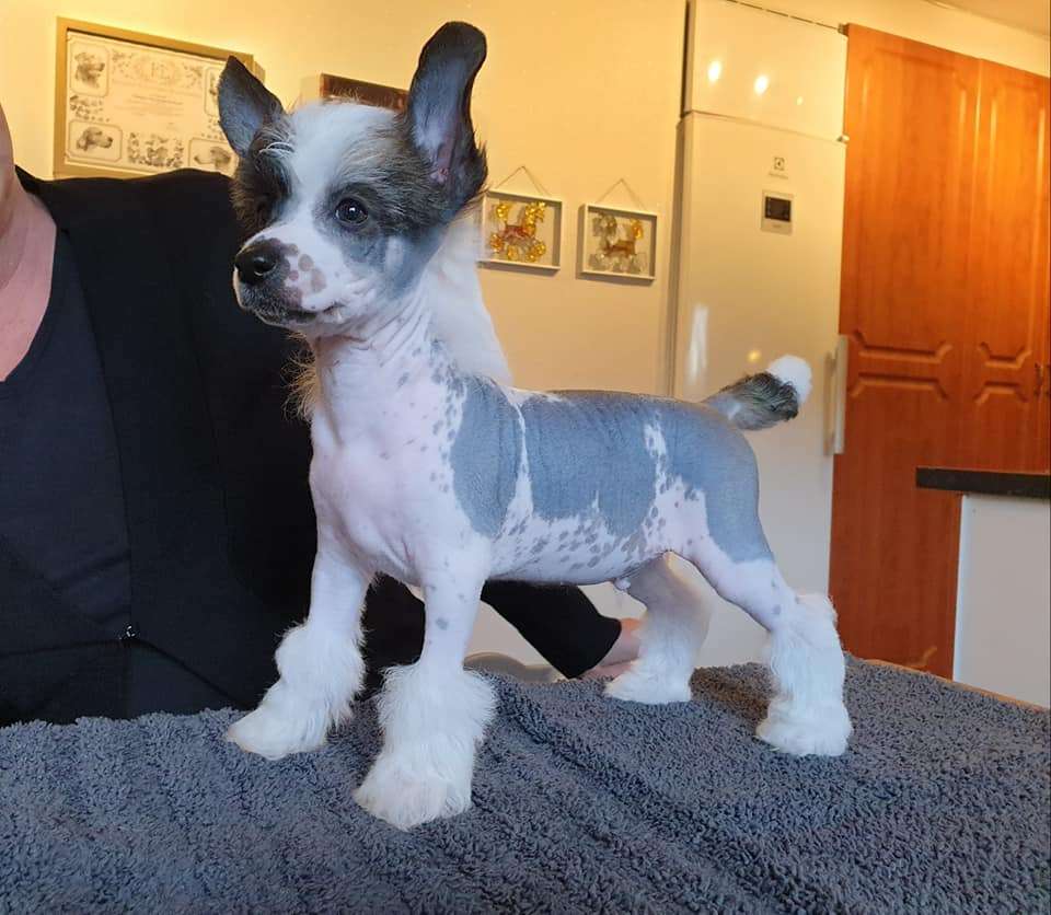 Ridgecrest's The Spot Is On Me