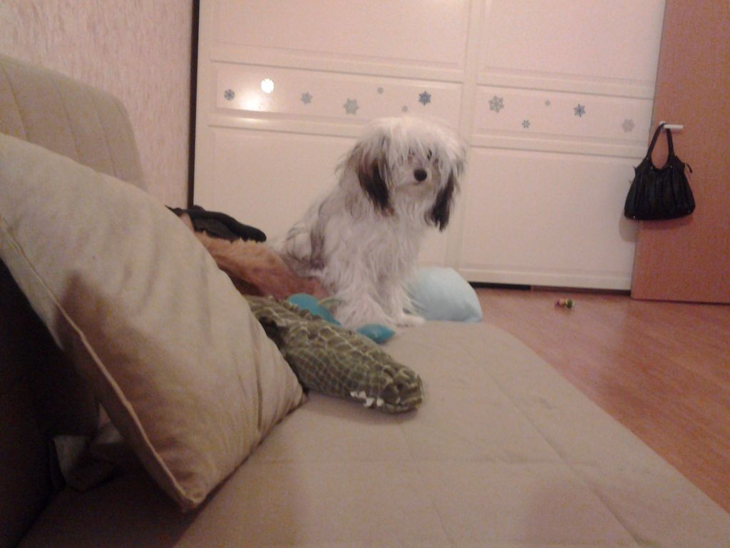 Ksolo Club Ursula White Gold