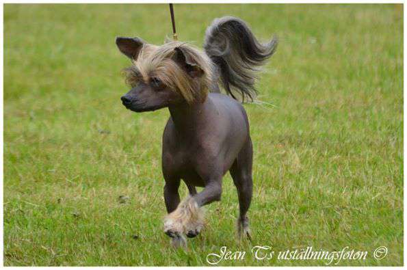 Practical Hero MasterCard