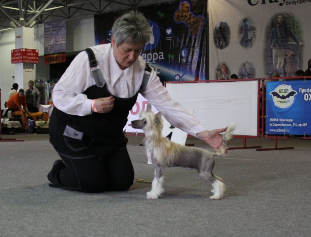 Zheneva-Debjut Ellada