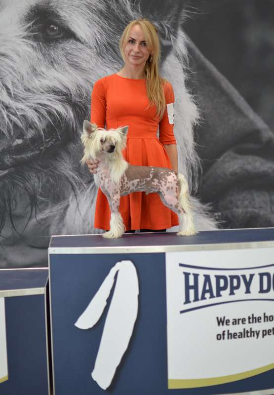 Tel Quel  Winning Smile