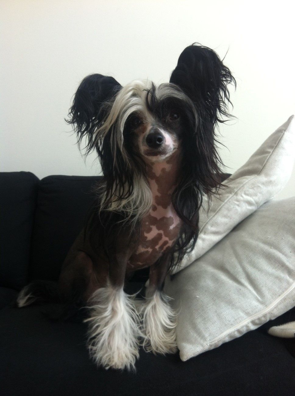 Lady Buck's All That N More