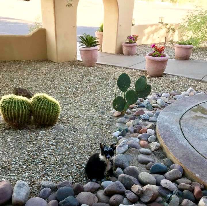 Nina's K Wracking Ball