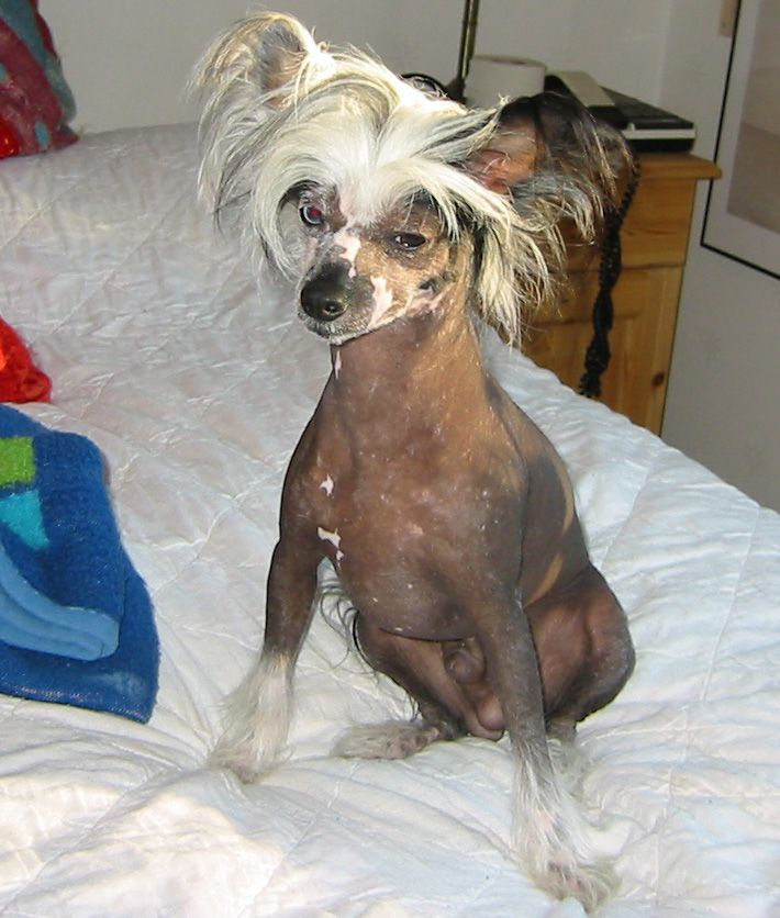 Sun-Hee's Odd Fellow