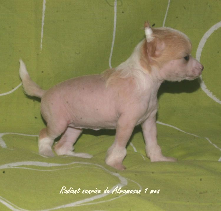 Radiant sunrise de Almamasan