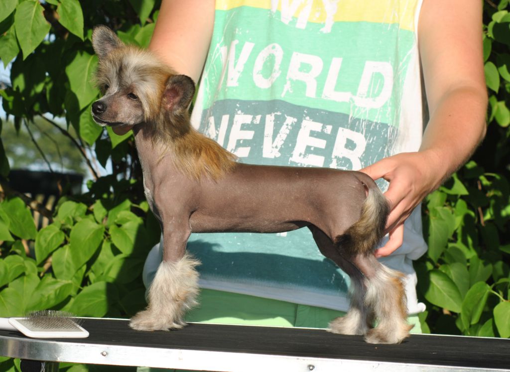 Speechless On The Stage Tonight