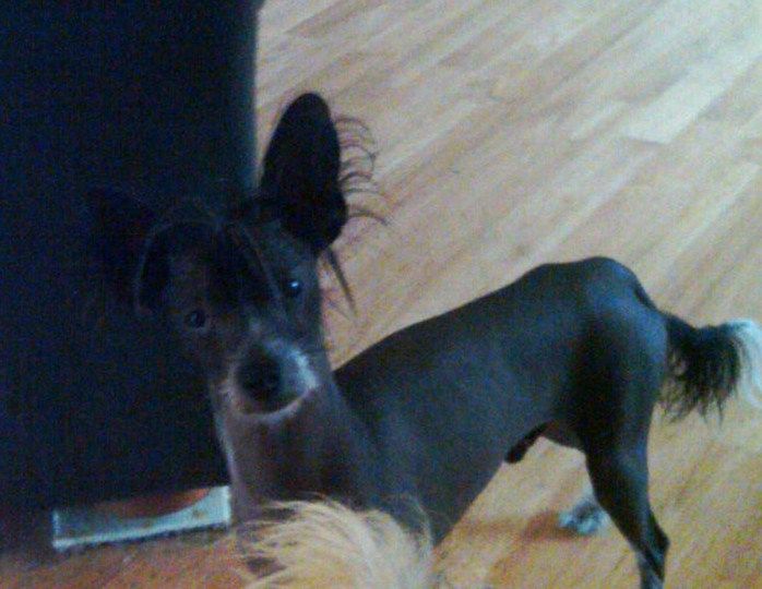 EverCrest's Naked Conversations