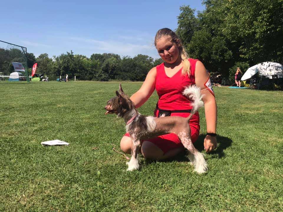 Altamira Imperial Daenerys