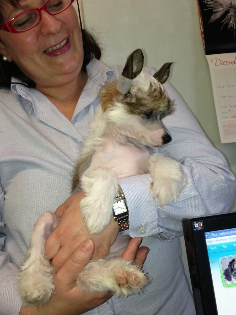 Dancing With Dakotawind