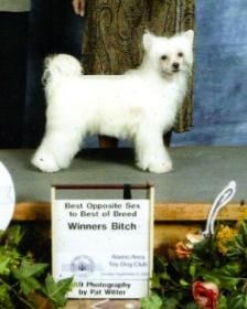 Kalan's Kiss N' Tell