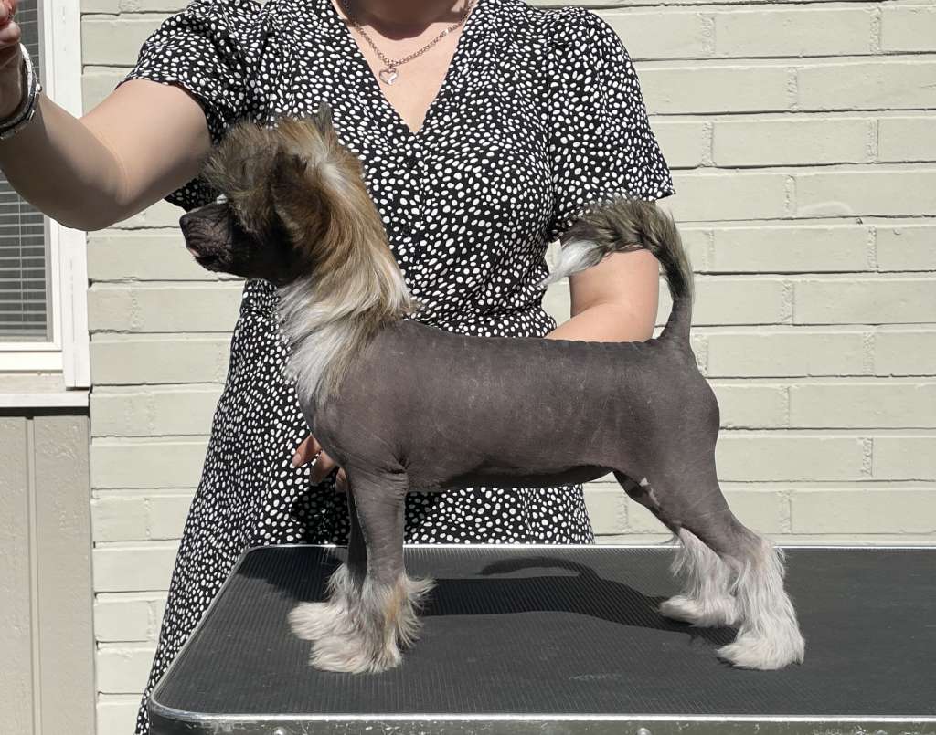 Maybell's Peony Candy Stripe