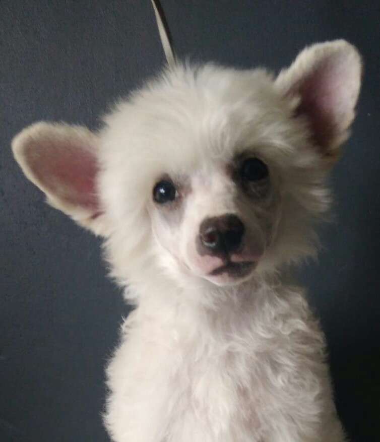 Concrete Clouds Cherry On The Cake